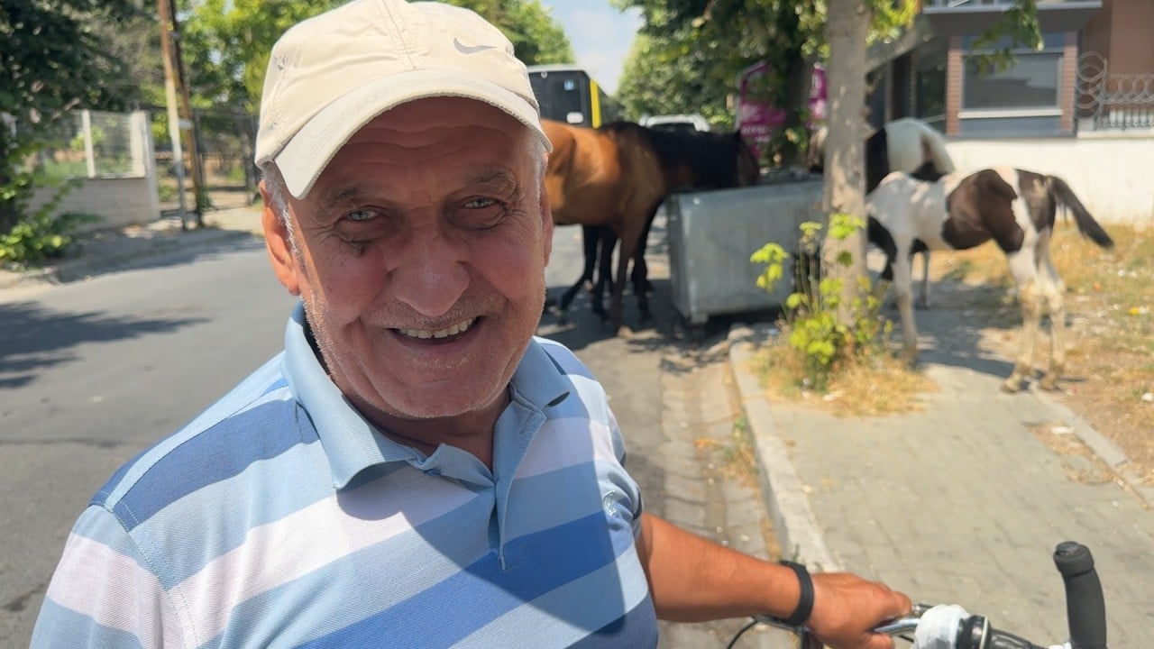 Foto - CHP’nin İstanbul’a yapmadığı eziyet kalmadı! Şimdi de başıboş at tehlikesi!