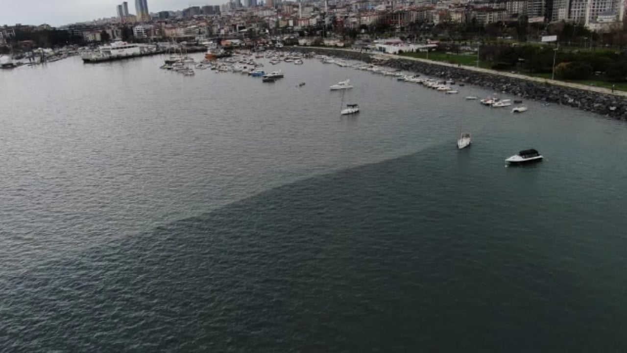 Foto - CHP’nin yönettiği İstanbul’da durum içler acısı! Kirlilik ve koku vatandaşı isyan ettirdi