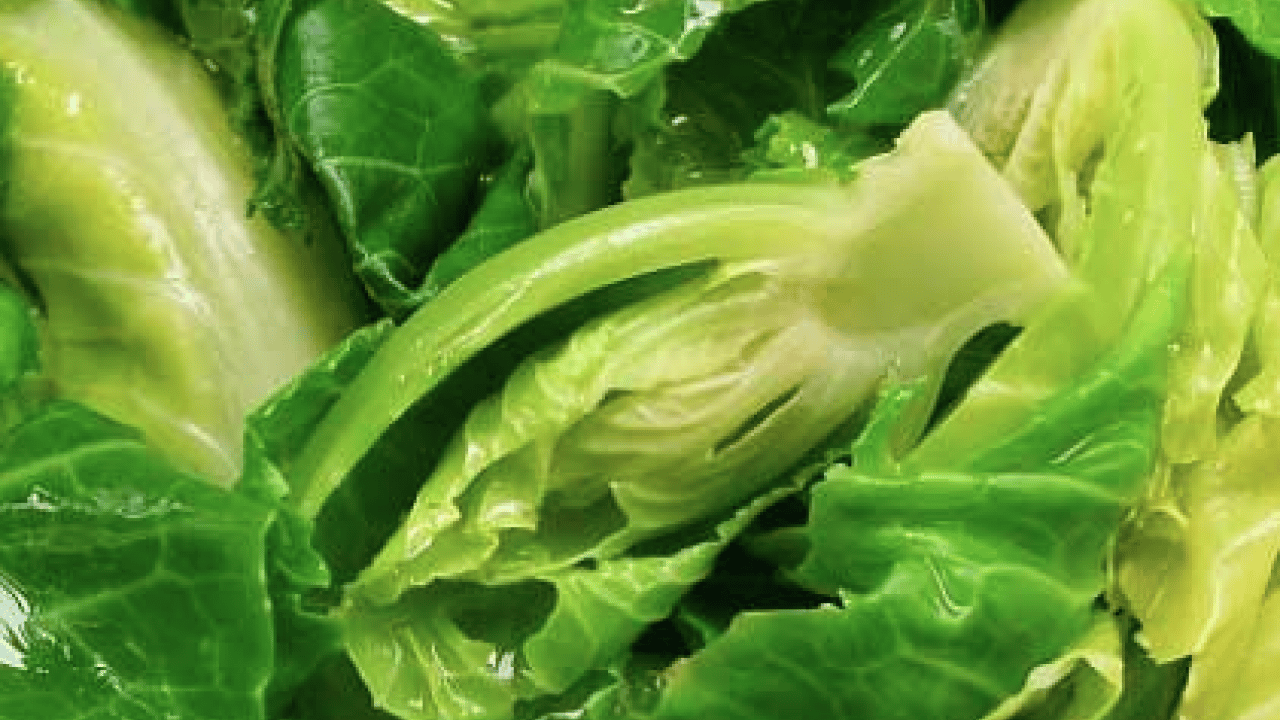 Cibes otu nedir, ne işe yarar ve nerede yetişir? Cibes otunun faydaları nelerdir...