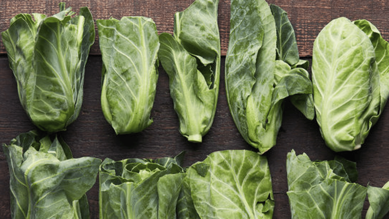 Foto - Cibes otu nedir, ne işe yarar ve nerede yetişir? Cibes otunun faydaları nelerdir...