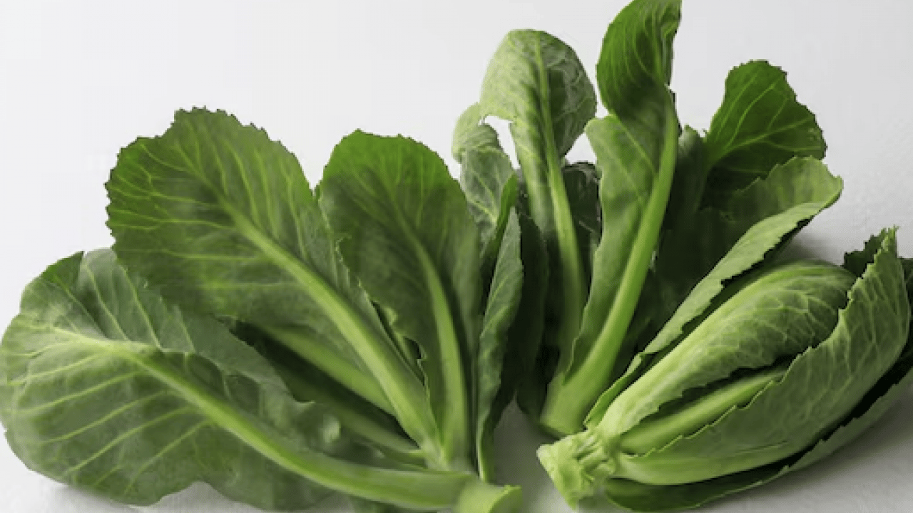 Foto - Cibes otu nedir, ne işe yarar ve nerede yetişir? Cibes otunun faydaları nelerdir...