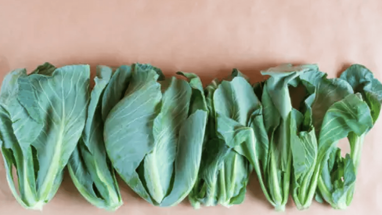 Foto - Cibes otu nedir, ne işe yarar ve nerede yetişir? Cibes otunun faydaları nelerdir...