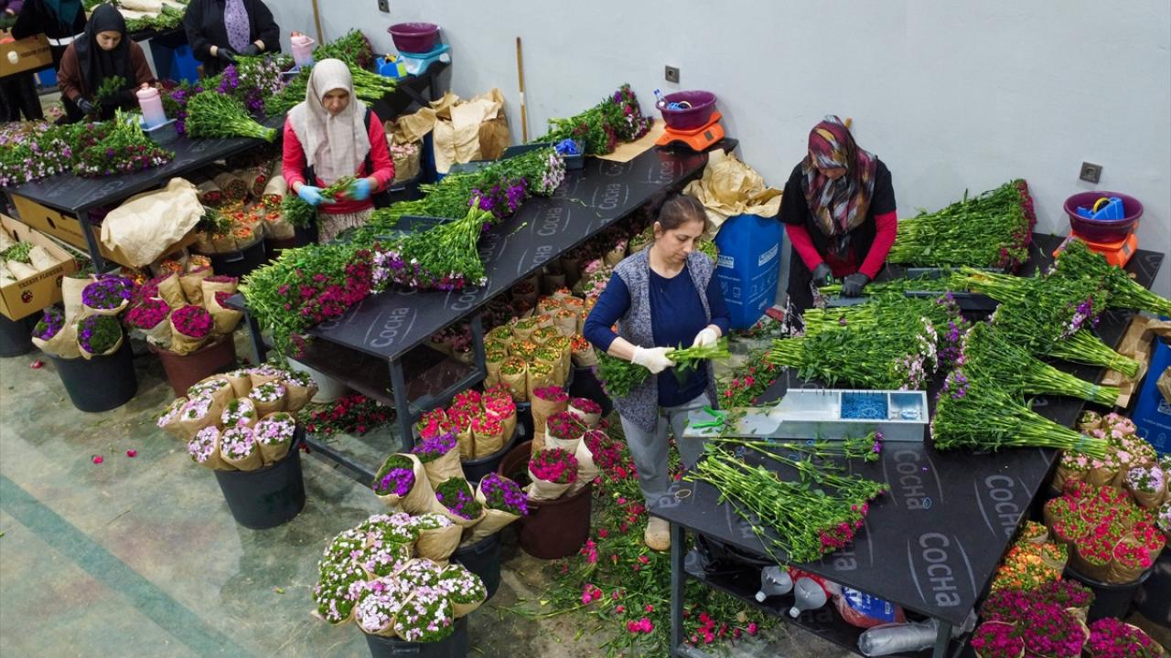 Foto - 'çiçek gibi' 12 milyon dolar