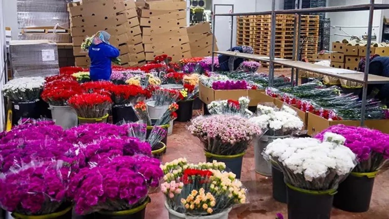 Foto - 'çiçek gibi' 12 milyon dolar