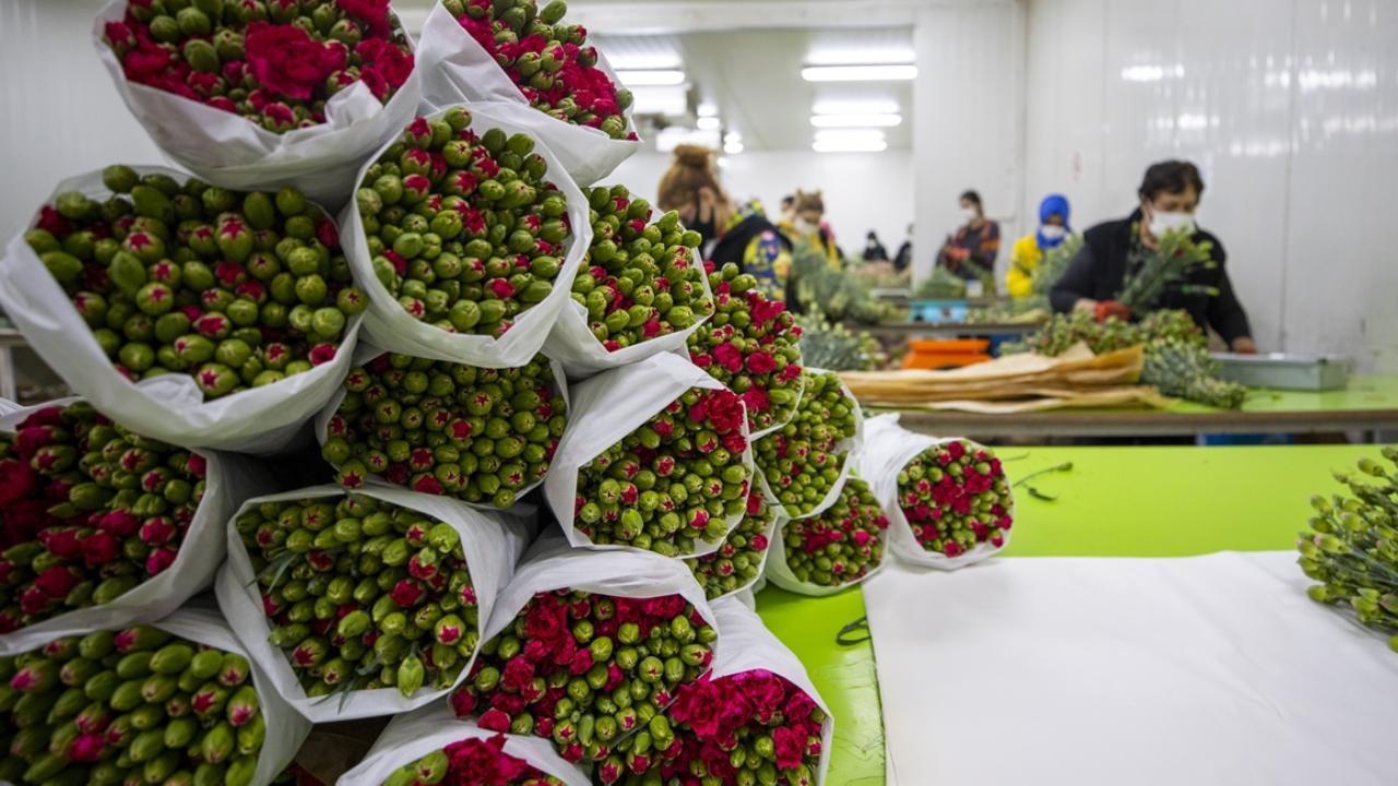 Foto - 'çiçek gibi' 12 milyon dolar