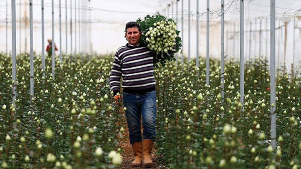 Foto - 'çiçek gibi' 12 milyon dolar