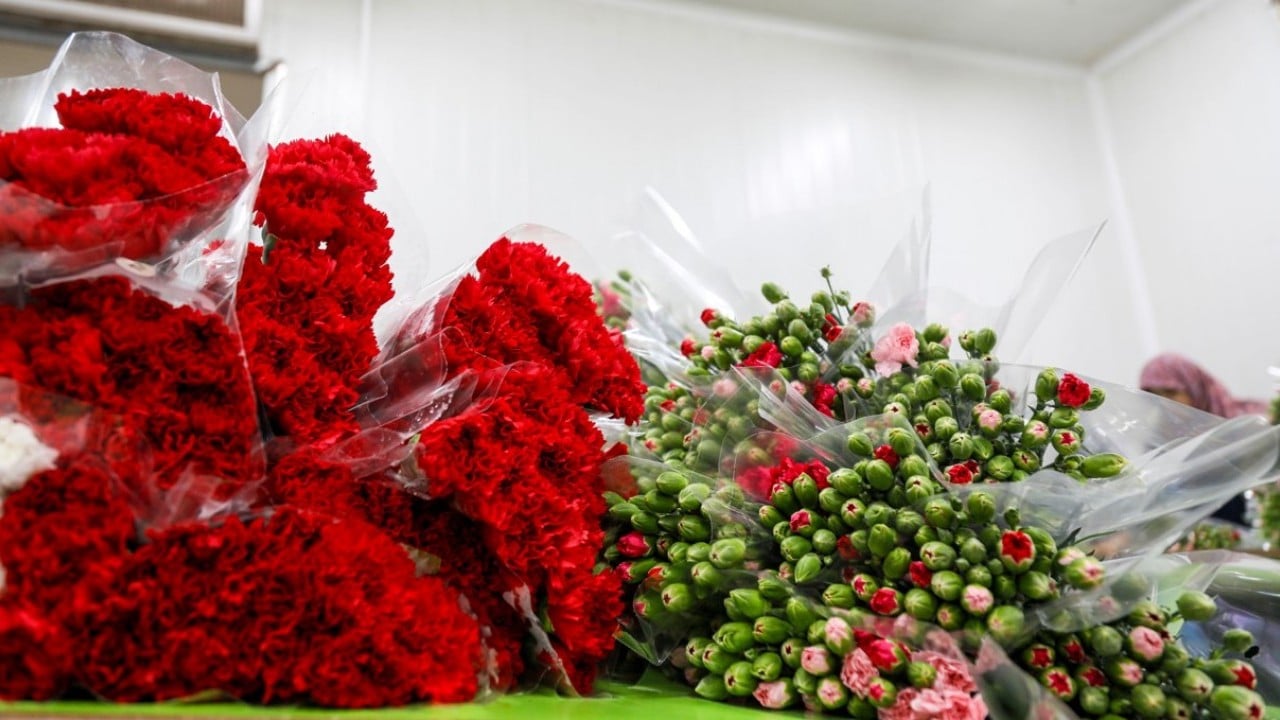 Foto - Çiçek ihracatında tüm zamanların rekoruna ulaşıldı