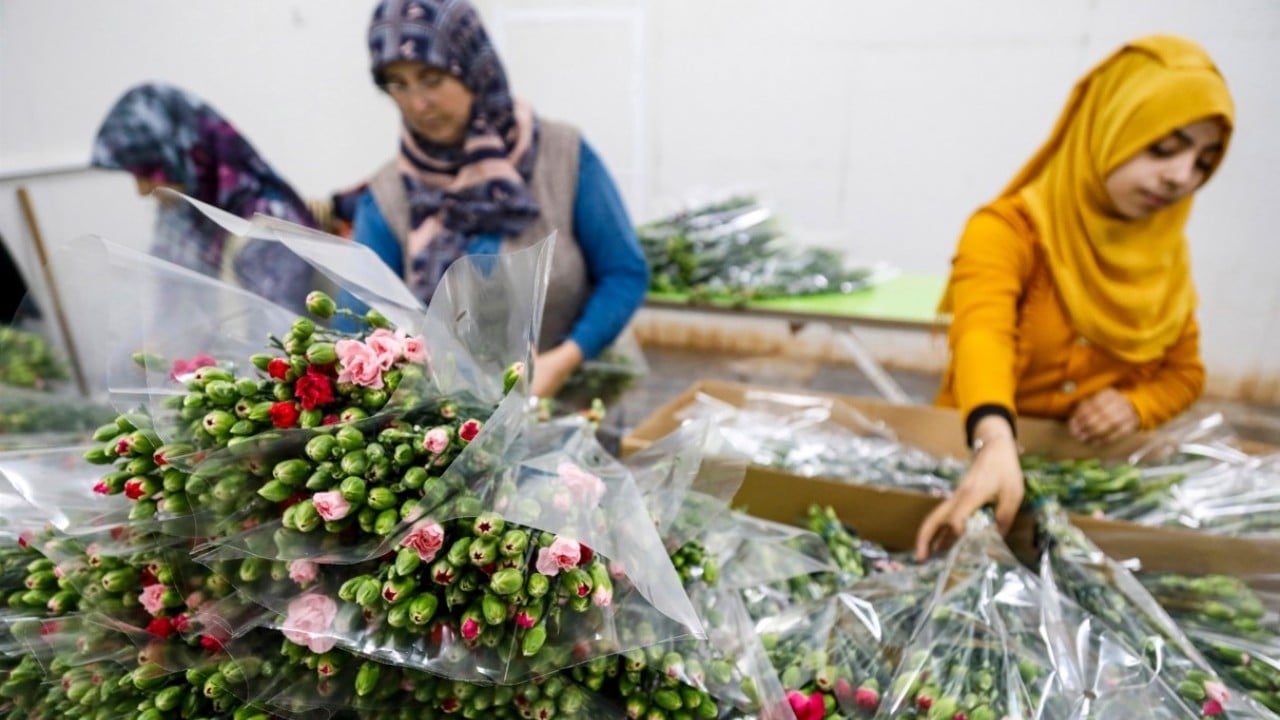 Foto - Çiçek ihracatında tüm zamanların rekoruna ulaşıldı