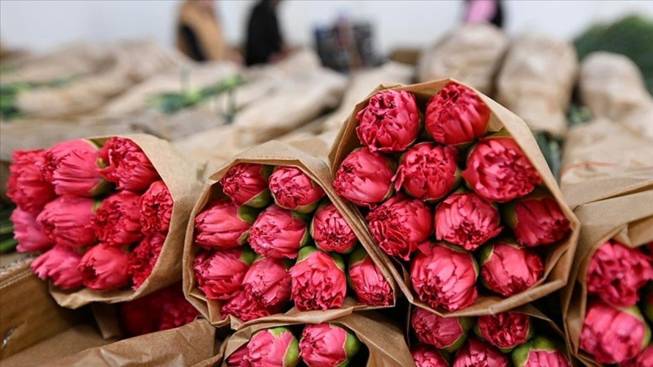 Foto - Çiçek ihracatında tüm zamanların rekoruna ulaşıldı