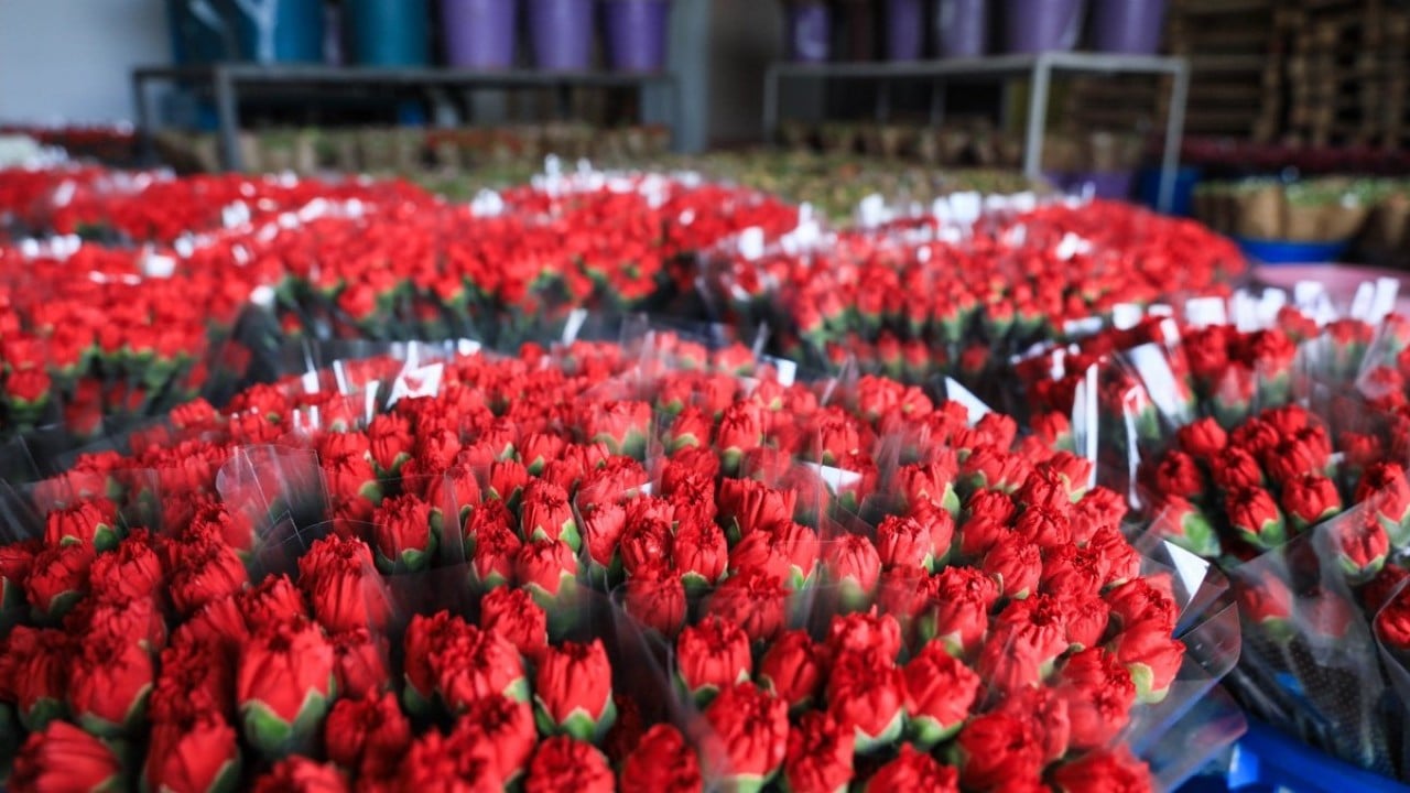 Foto - Çiçek ihracatında tüm zamanların rekoruna ulaşıldı