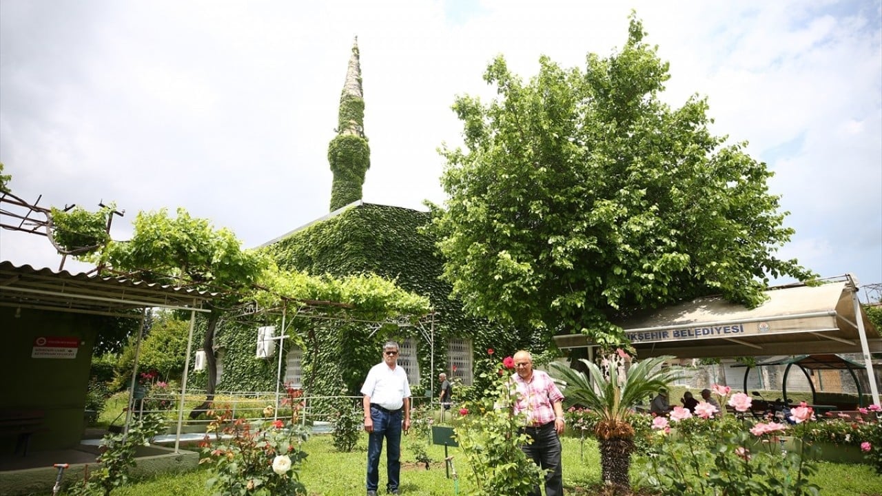 Foto - Çiçek kokuları baş döndürüyor Sarmaşık kaplı botanik bahçesi gibi cami