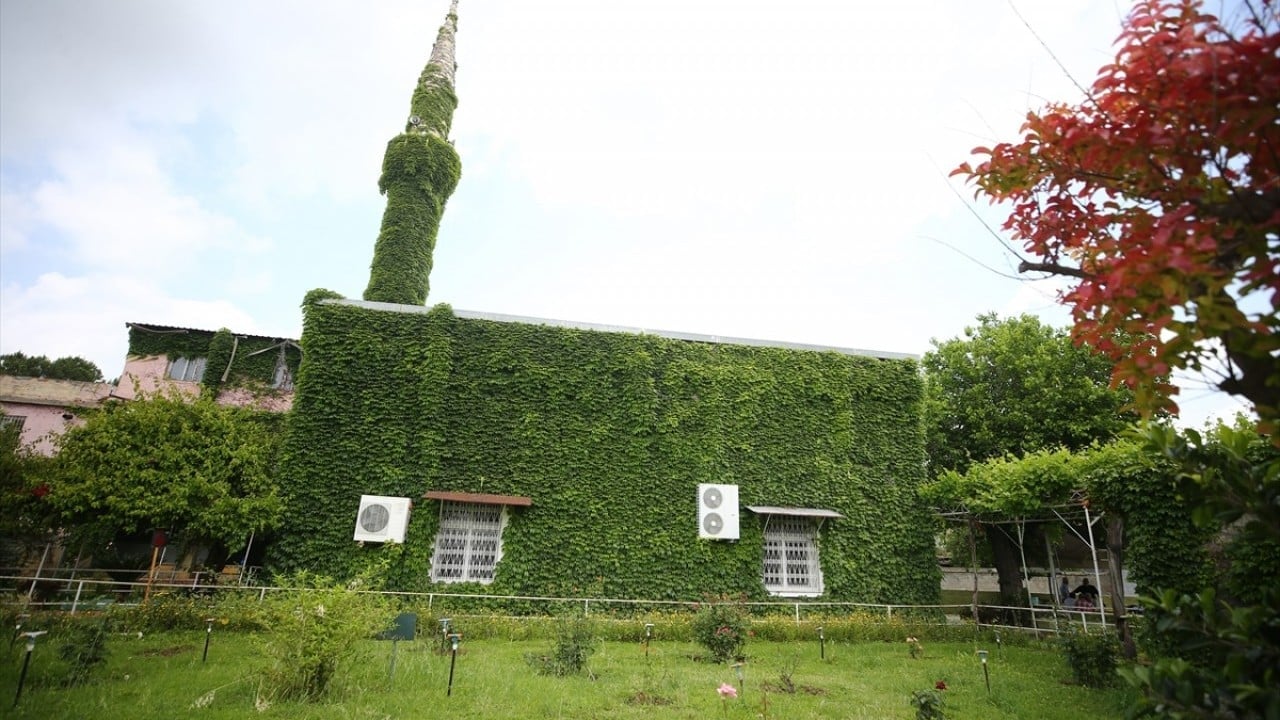 Foto - Çiçek kokuları baş döndürüyor Sarmaşık kaplı botanik bahçesi gibi cami