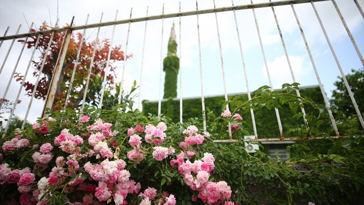 Çiçek kokuları baş döndürüyor Sarmaşık kaplı botanik bahçesi gibi cami