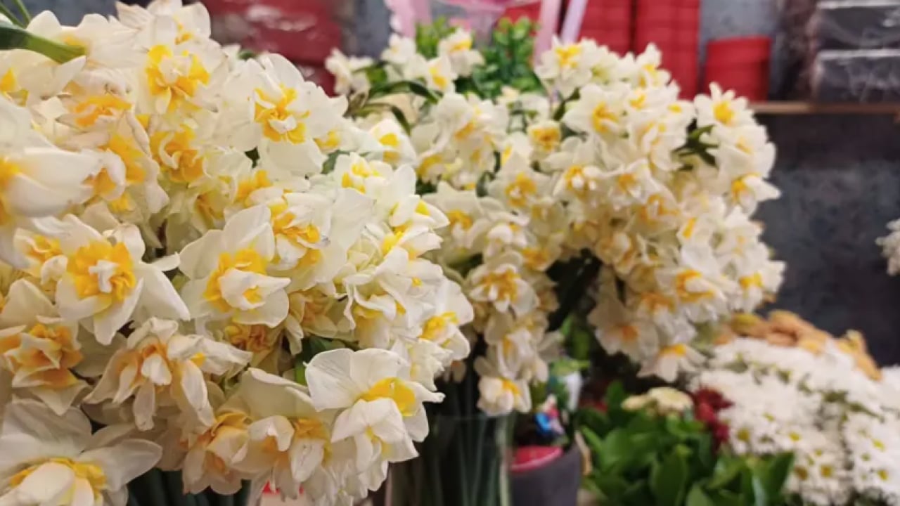 Foto - Çiçekçilerde 14 Şubat mesaisi! Bakın en çok hangisi tercih eidliyor