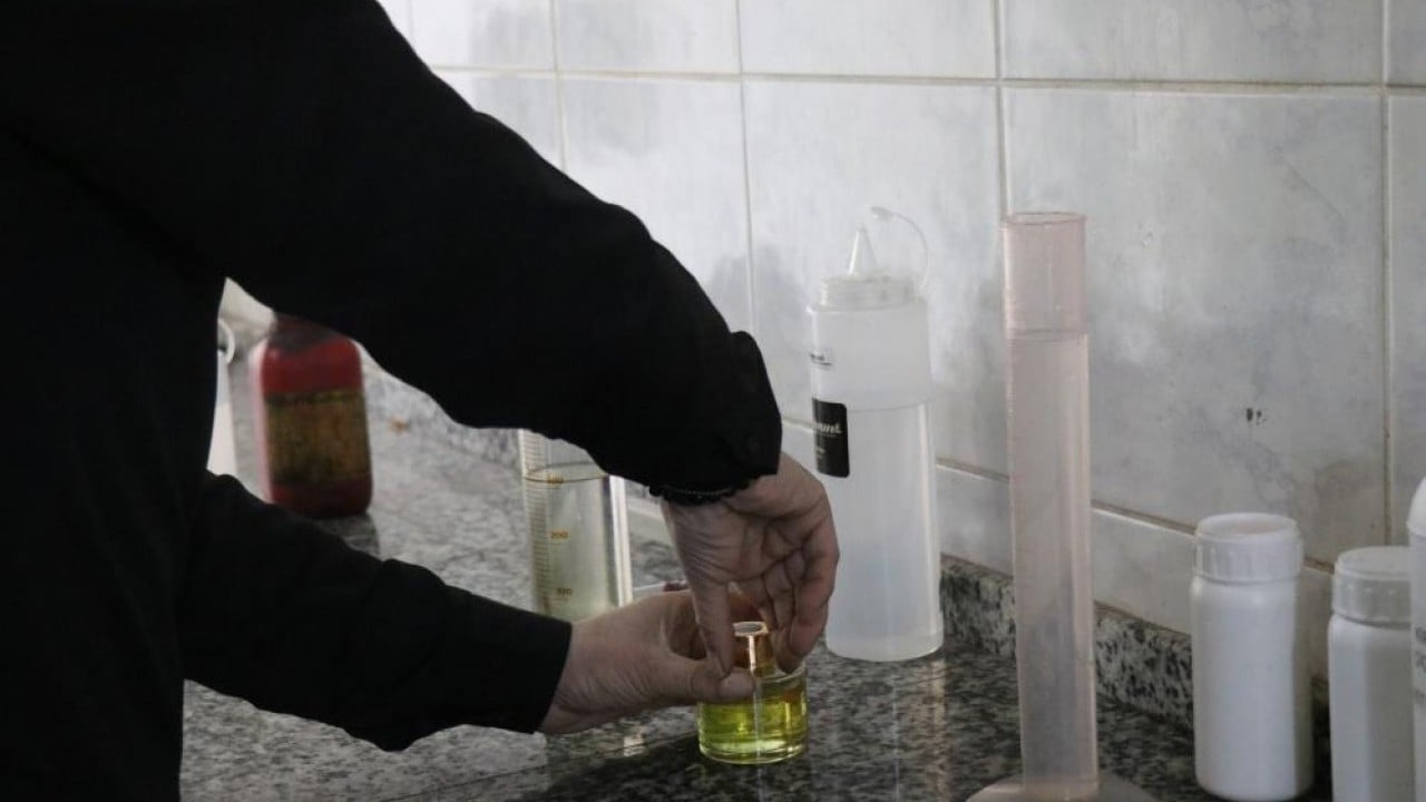 Foto - Çiçeklerin kokusu her yeri sardı Bütün dünya Sakarya kokacak