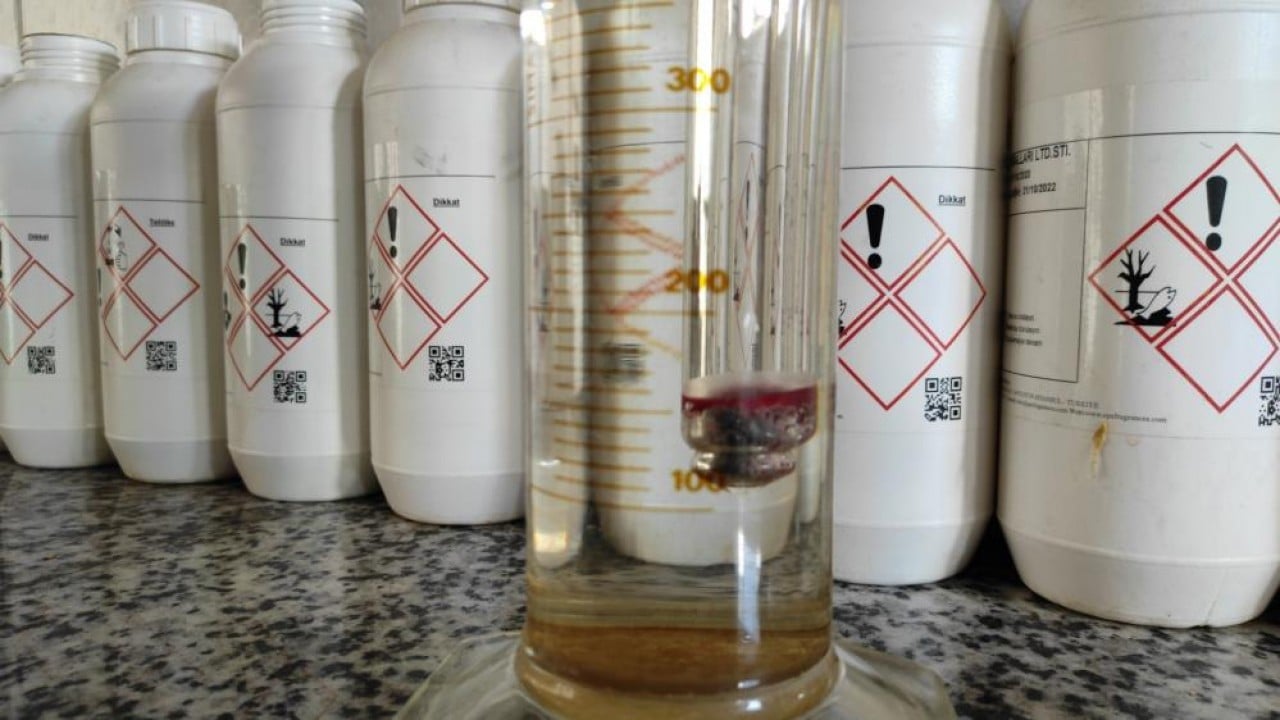 Foto - Çiçeklerin kokusu her yeri sardı Bütün dünya Sakarya kokacak