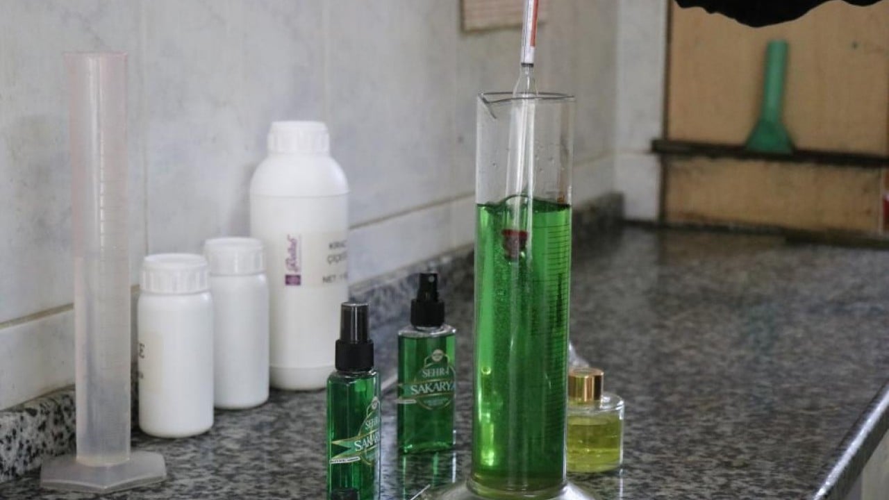 Foto - Çiçeklerin kokusu her yeri sardı Bütün dünya Sakarya kokacak