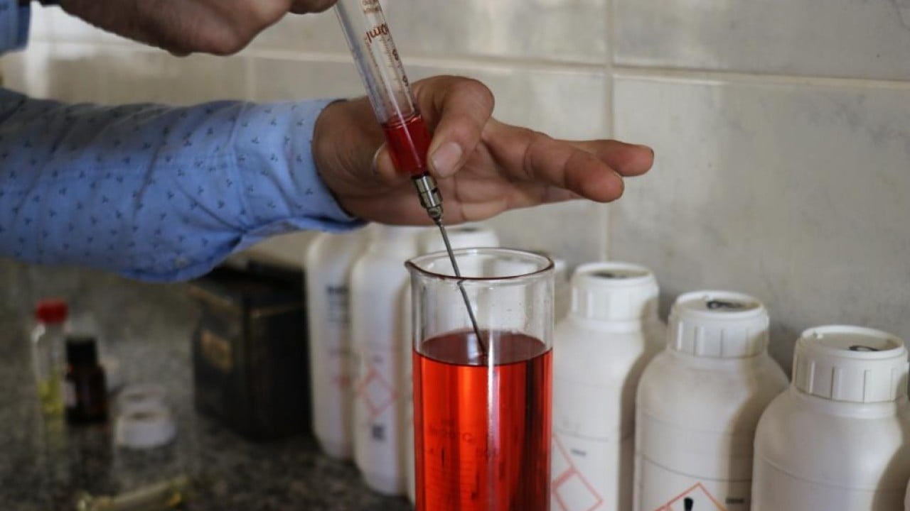 Foto - Çiçeklerin kokusu her yeri sardı Bütün dünya Sakarya kokacak