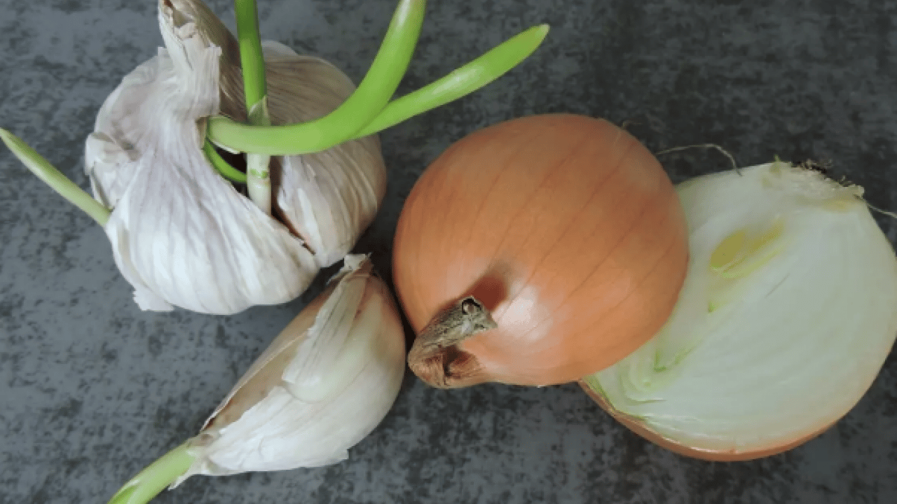 Foto - Ciddi bir sağlık tehdidi mi? Yeşeren ve filizlenen patates, soğan ve sarımsak yenir mi? 