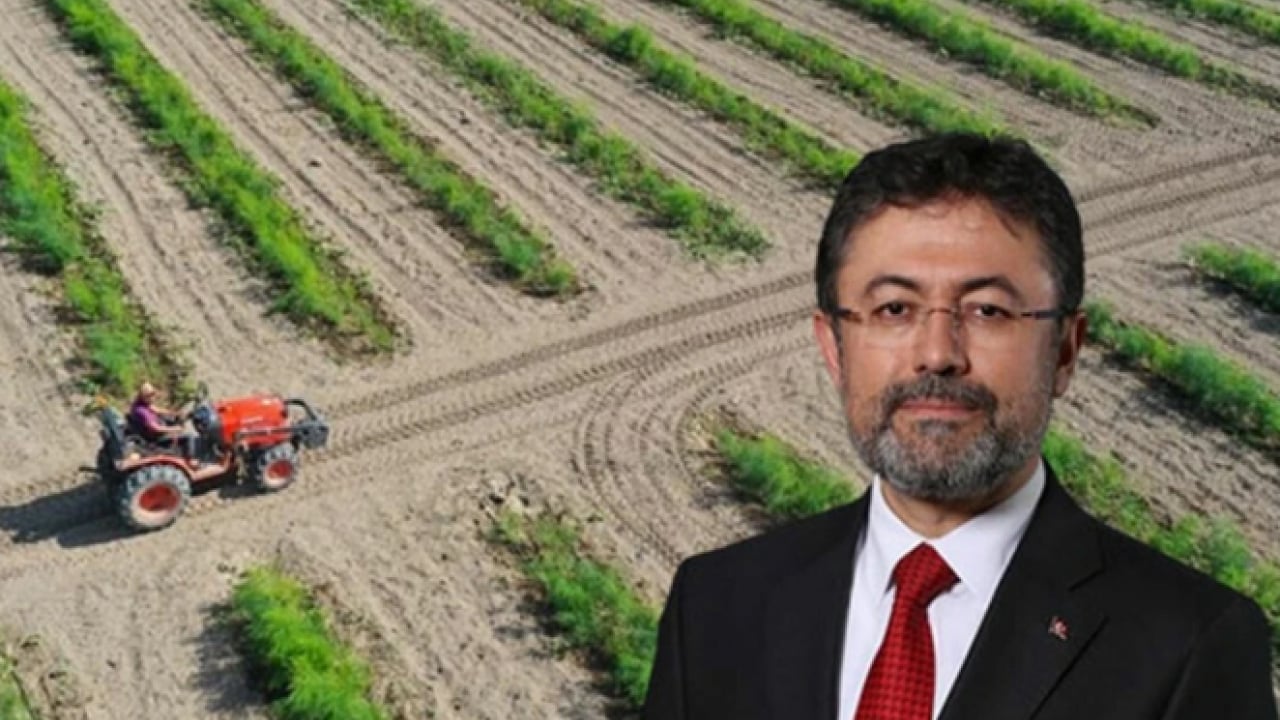Foto - Çiftçi bitmiş öyle mi? Türkiye’den tarımsal hasılada rekor
