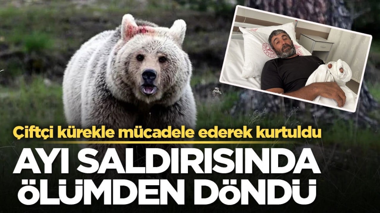 Çiftçi kürekle mücadele ederek kurtuldu! Ayı saldırısında ölümden döndü