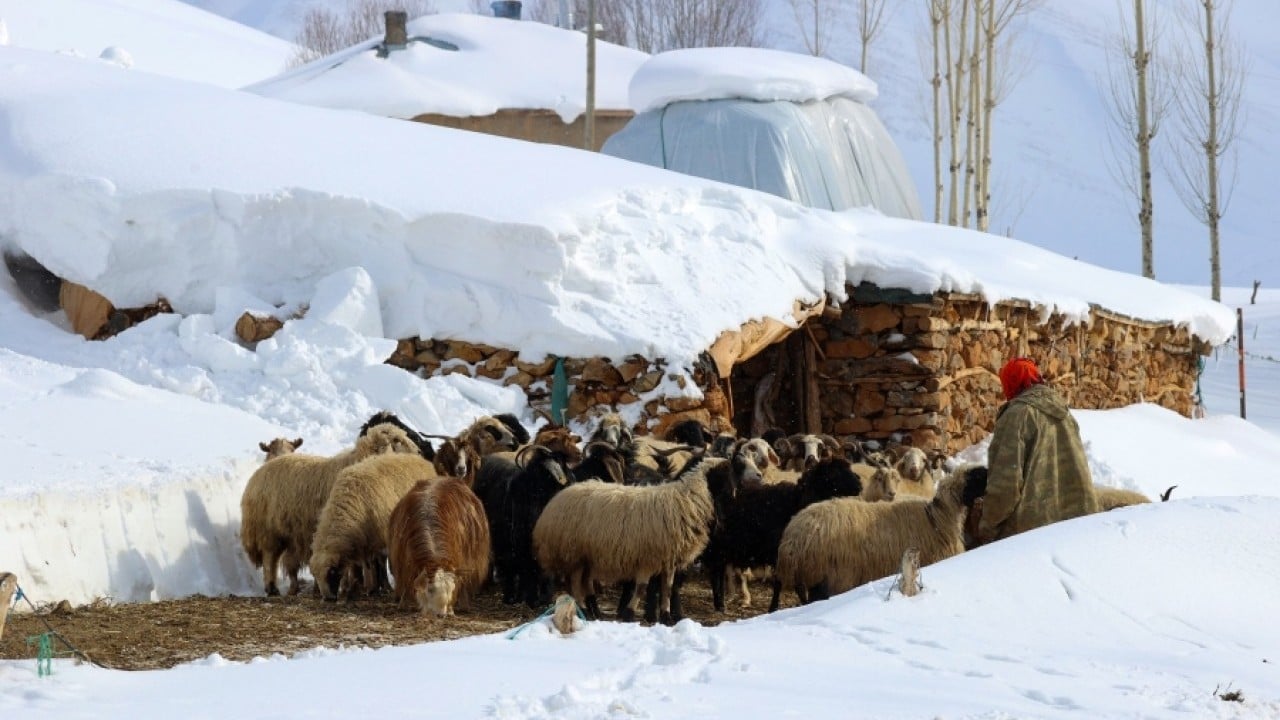 Foto - Çiftçi ve besicinin yüzü güldü Beyaz yerini yeşile bıraktı