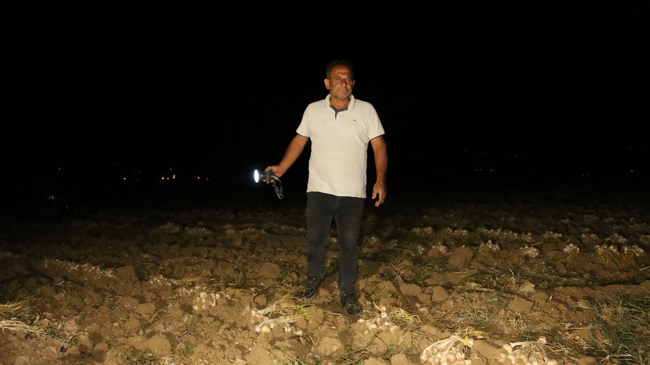 Foto - Çiftçiler nöbet tutuyor! Bir yıllık emek çalınmasın diye uyumuyorlar