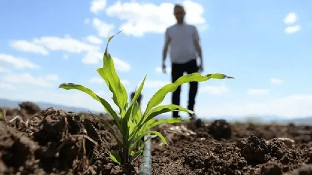 Foto - Çiftçilere müjde! Tarımsal destek ödemeleri yatırılıyor