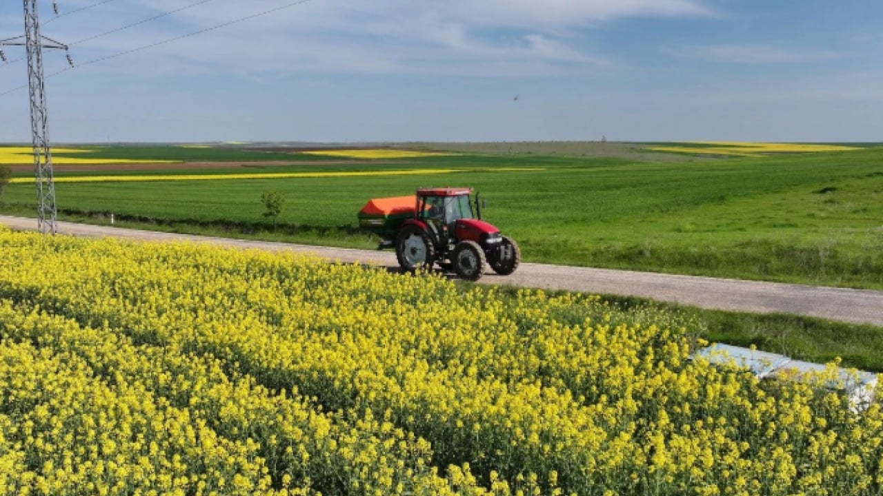 Foto - Çiftçinin yeni gözdesi o ürün oldu: Talep zirve yaptı
