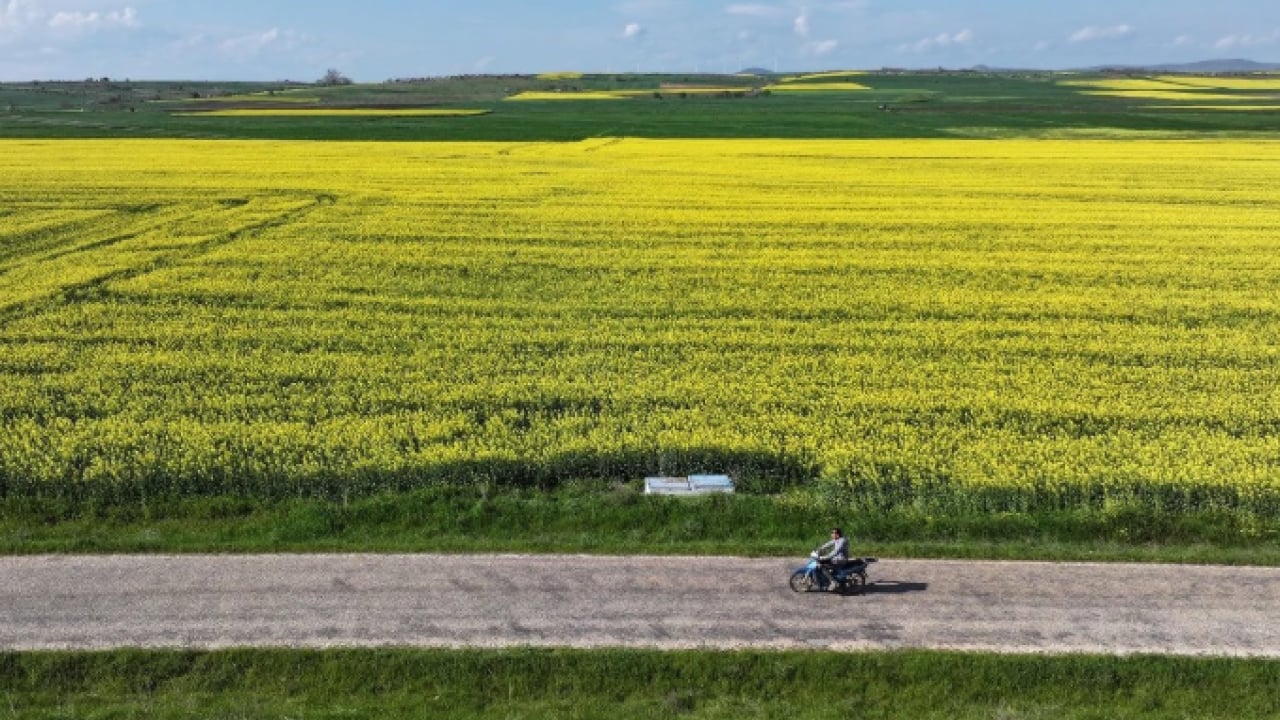 Foto - Çiftçinin yeni gözdesi o ürün oldu: Talep zirve yaptı