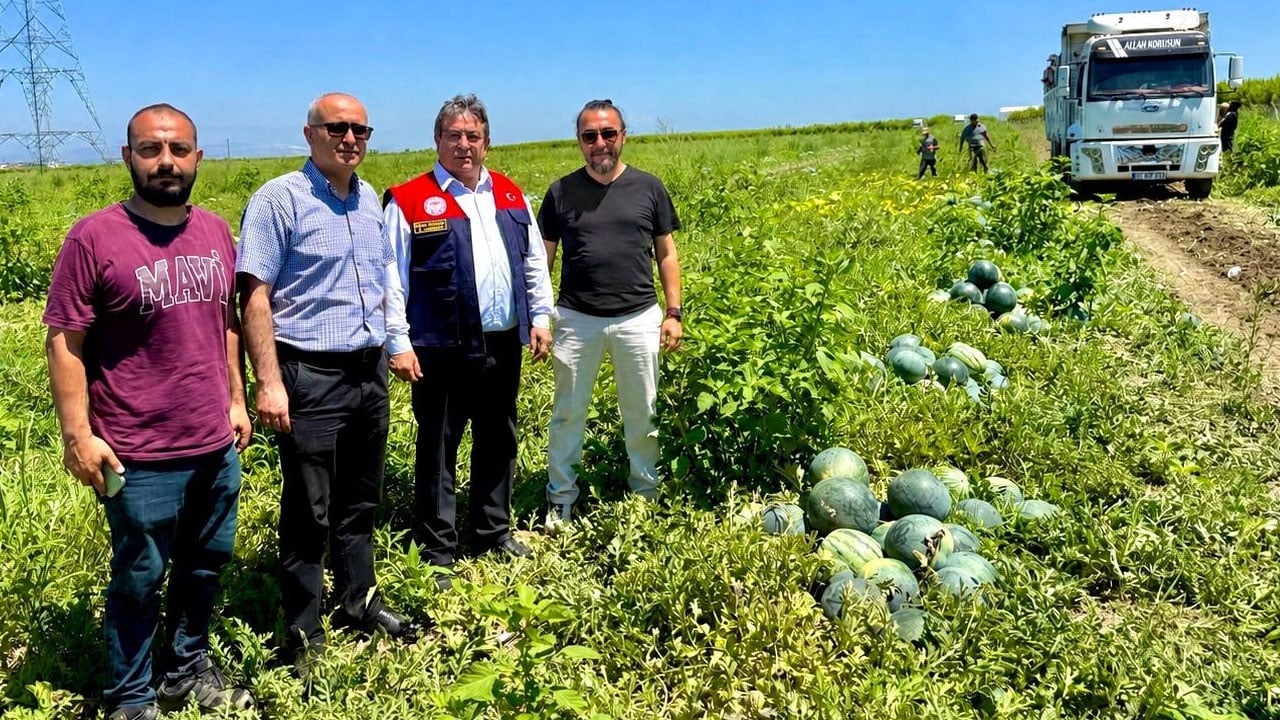 Foto - Çiftçinin ‘yüz güldüren’ yeni gözdesi: Sarı karpuz!