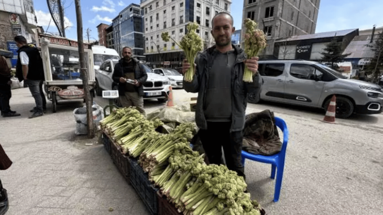 Foto - Çiftçinin yüzü güldü: Kilosu 150 TL'ye dayandı!