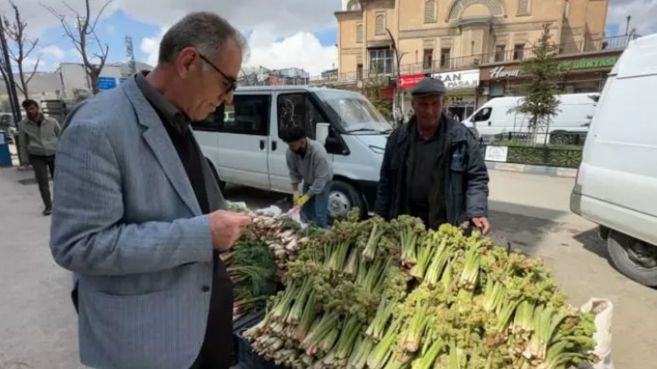 Foto - Çiftçinin yüzü güldü: Kilosu 150 TL'ye dayandı!