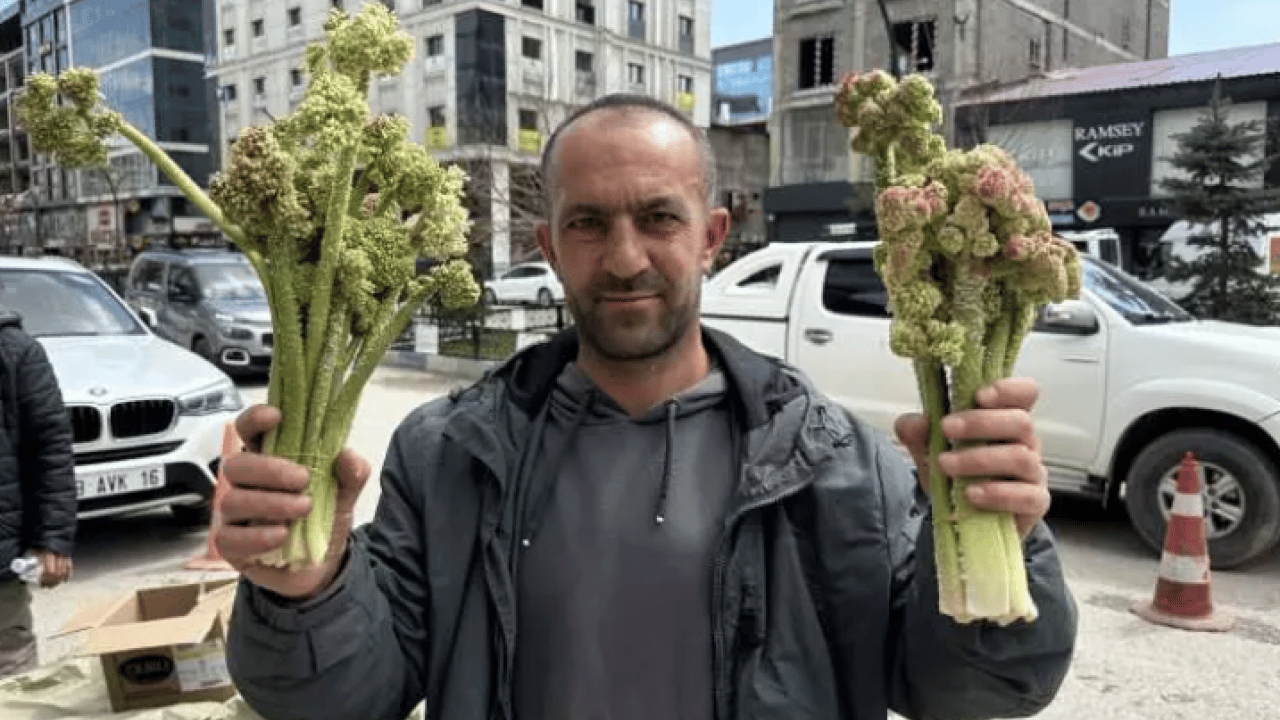 Foto - Çiftçinin yüzü güldü: Kilosu 150 TL'ye dayandı!