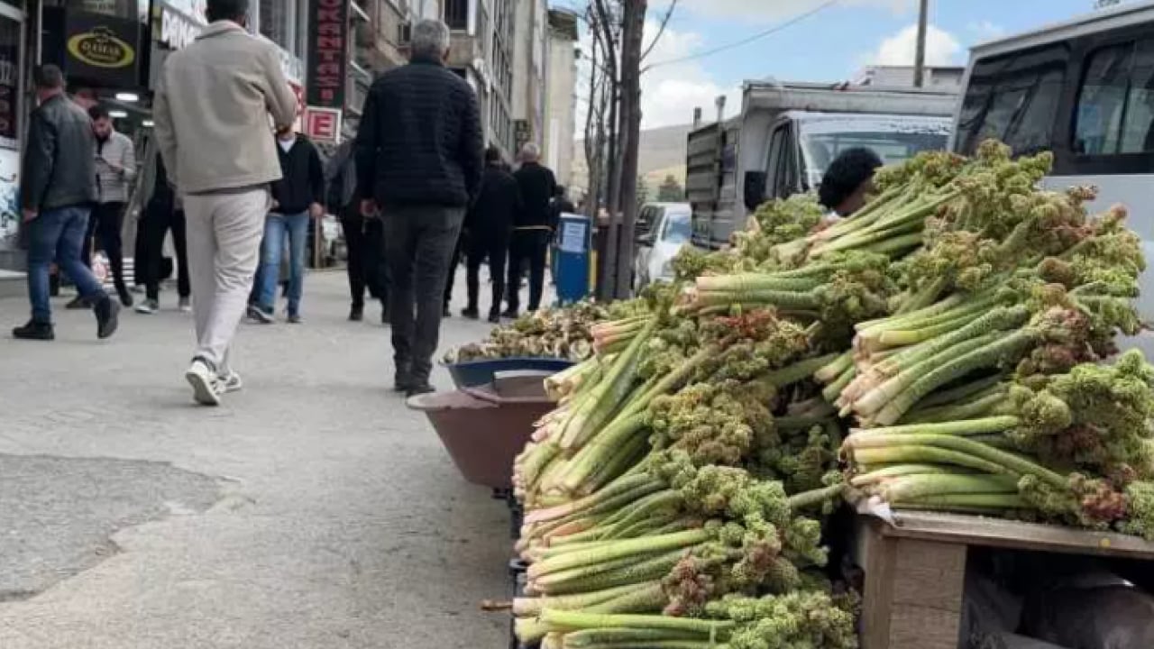 Foto - Çiftçinin yüzü güldü: Kilosu 150 TL'ye dayandı!