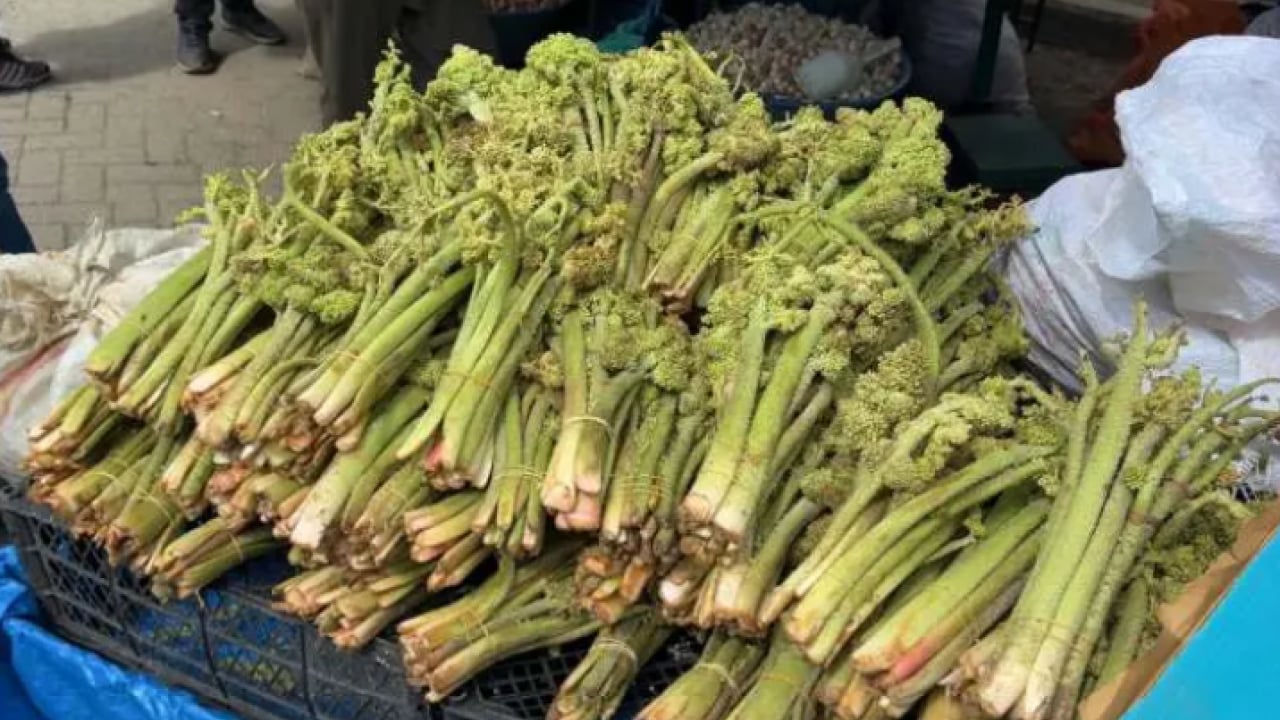 Foto - Çiftçinin yüzü güldü: Kilosu 150 TL'ye dayandı!