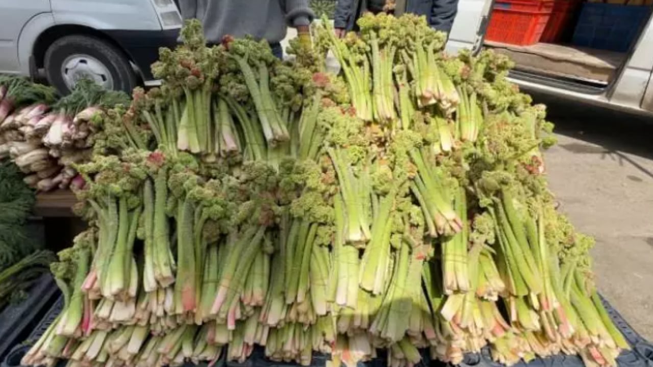 Foto - Çiftçinin yüzü güldü: Kilosu 150 TL'ye dayandı!