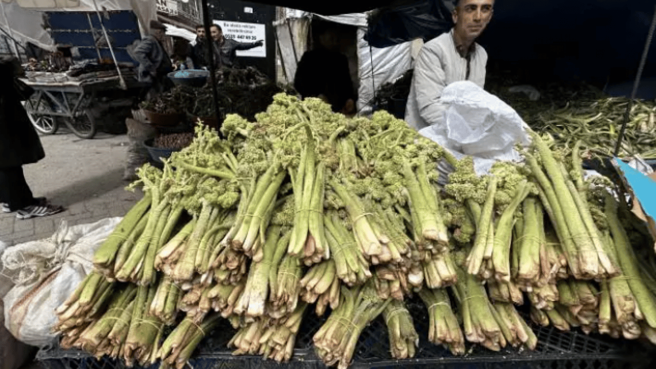 Foto - Çiftçinin yüzü güldü: Kilosu 150 TL'ye dayandı!