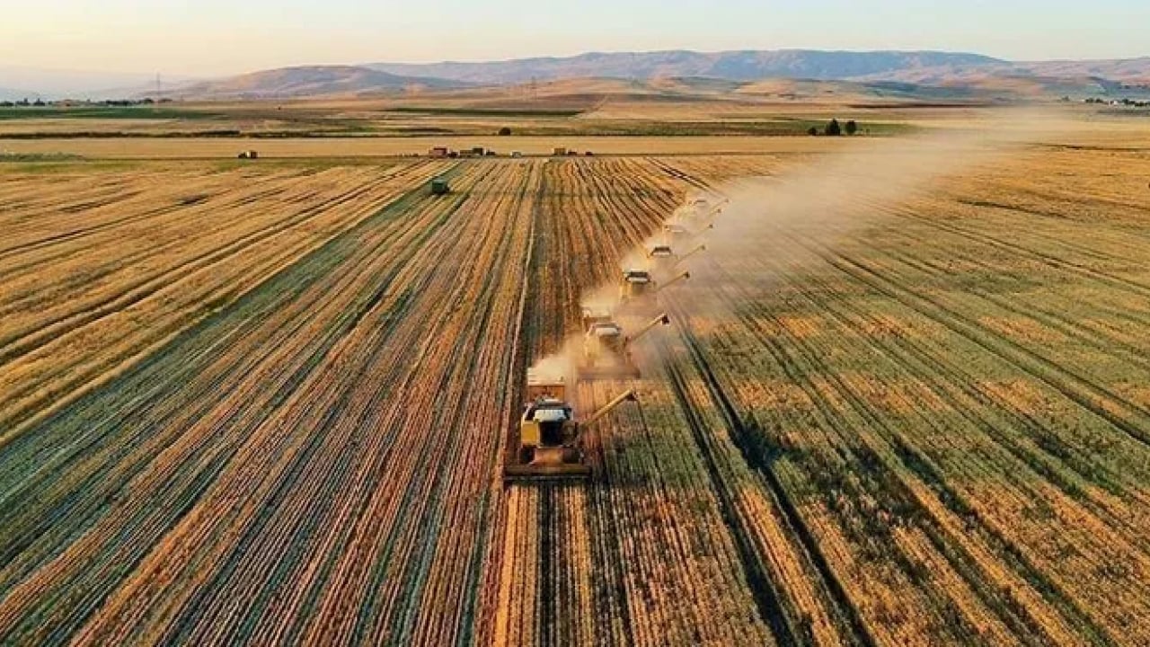 Foto - Çiftçiye nefes aldıracak adım: TMO erken ödeme takvimini açıkladı