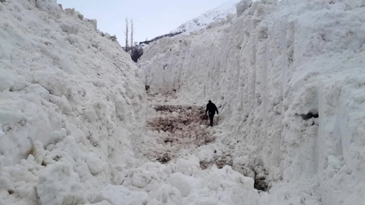 Çığ felaketi! Meyve bahçeleri zarar gördü, yol kapandı