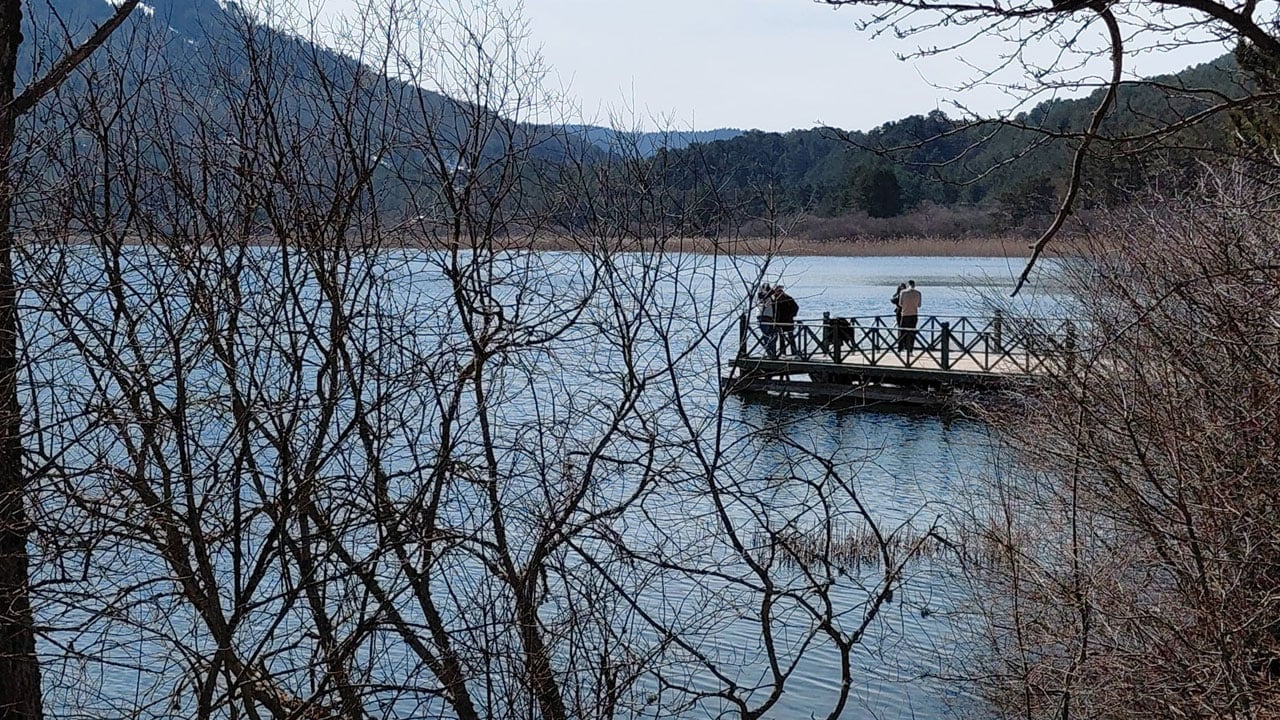 Foto - Çiğdemler ortaya çıktı! Abant’ta doğa renk değiştiriyor
