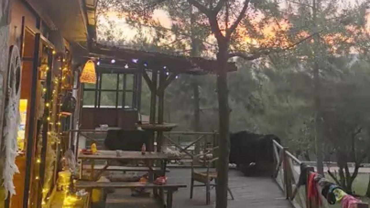 Foto - Cihan Köse'den 6 aydır haber yok! Kızı çaresizce babasını arıyor