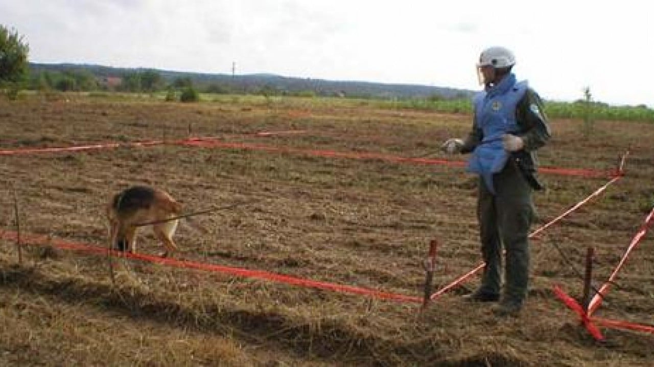 Foto - Cihat Yaycı'dan Türkiye sınırındaki mayınlarla ilgili şok sözler: Ne olur yapmayın dedim