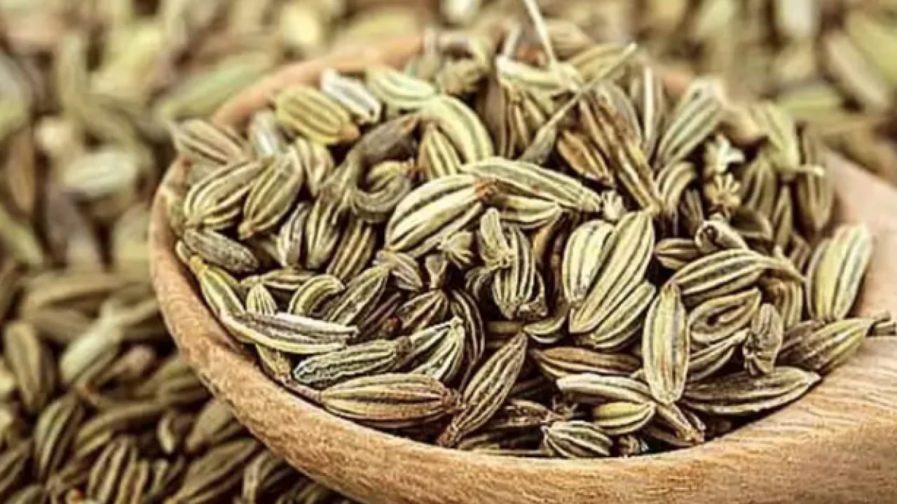 Foto - Çıkış yolu bu bitkiye çıkıyor: Vücudunuzda şifa saçacak resmen...