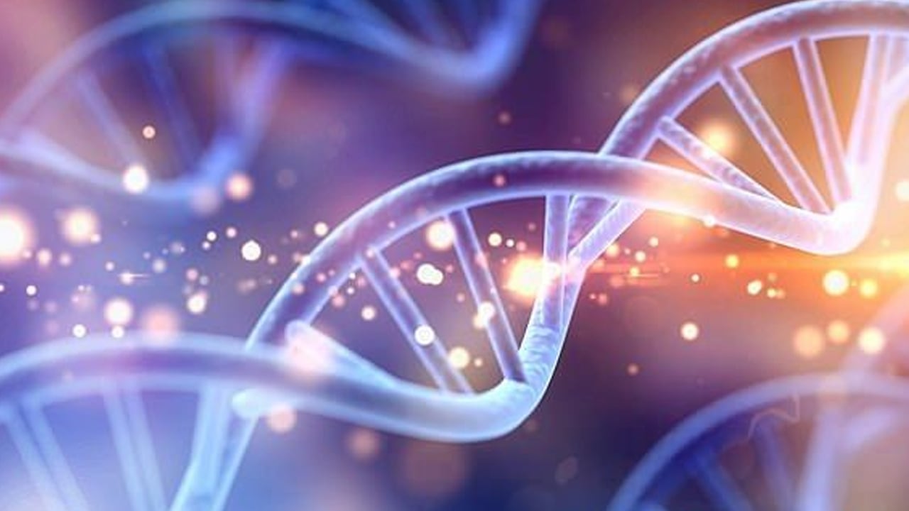 Cildi bebek gibi yapan hangi besinler? Leke ve sivilceden iz kalmıyor! Herkesi şok eden doğal koruma