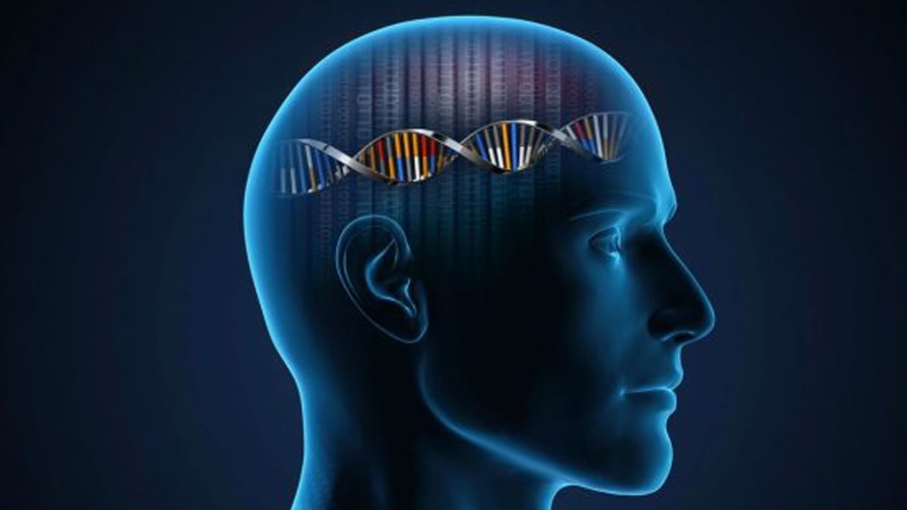 Foto - Cildi bebek gibi yapan hangi besinler? Leke ve sivilceden iz kalmıyor! Herkesi şok eden doğal koruma