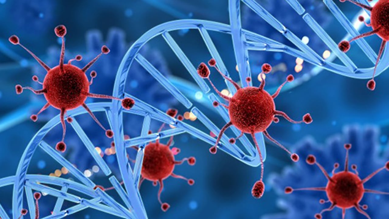 Foto - Cildi bebek gibi yapan hangi besinler? Leke ve sivilceden iz kalmıyor! Herkesi şok eden doğal koruma