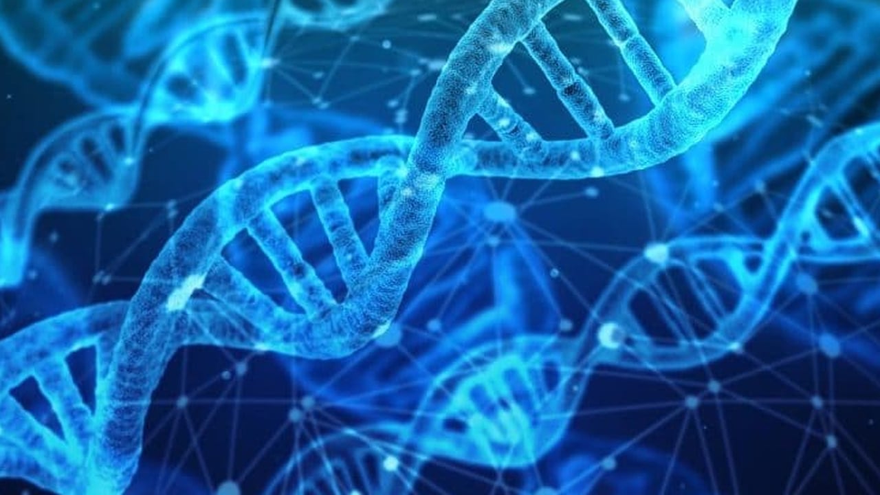 Foto - Cildi bebek gibi yapan hangi besinler? Leke ve sivilceden iz kalmıyor! Herkesi şok eden doğal koruma