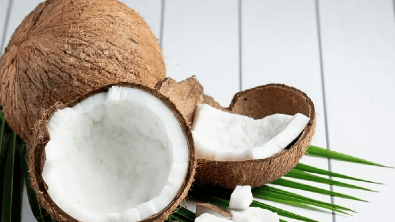 Cildinizi besler, gençleştirir ve... Tek yağ onlarca fayda... Hindistan cevizi gerçeği