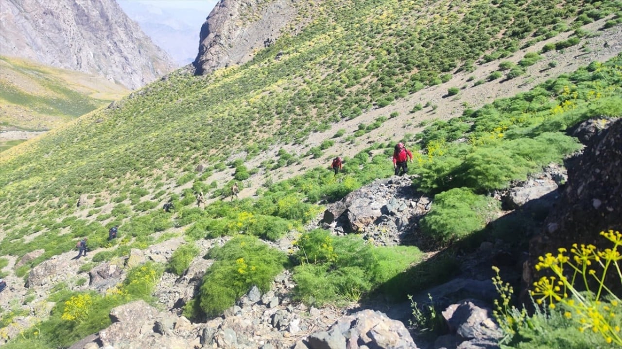 Cilo dağlarında kayboldu Kayıp dağcı için bütün Hakkari ayağa kalktı